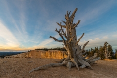 Bristlecone Point, Bryce Canyon National Park, Utah.