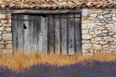 Lavender field and old stone building, France.