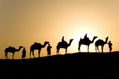 Camel caravan, Jaisalmer, India.