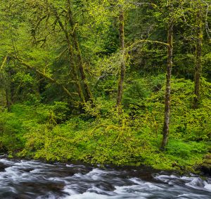 Columbia Gorge, Oregon.