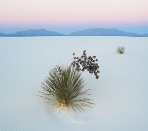 White Sands National Monument, New Mexico.