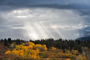 Late afternoon storm near Ridgway.