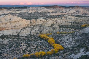 Autumn cottonwoods define the Boulder Creek drainage.