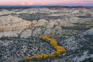 Autumn cottonwoods define the Boulder Creek drainage.