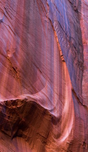 A canyon wall reflects the blue color of sky.