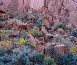 Bounce light on sagebrush and rocks, in Long Canyon.