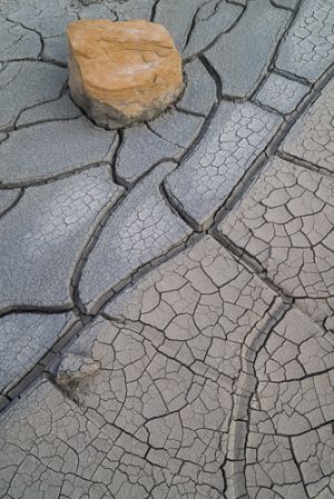 Rock and cracked mud