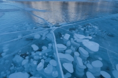 Bubble pattern in ice below Mt. Michener, Abraham Lake, Alberta.