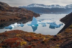 Icebergs and autumn tundra, Red Fjord, Scoresby Sound, Greenland.